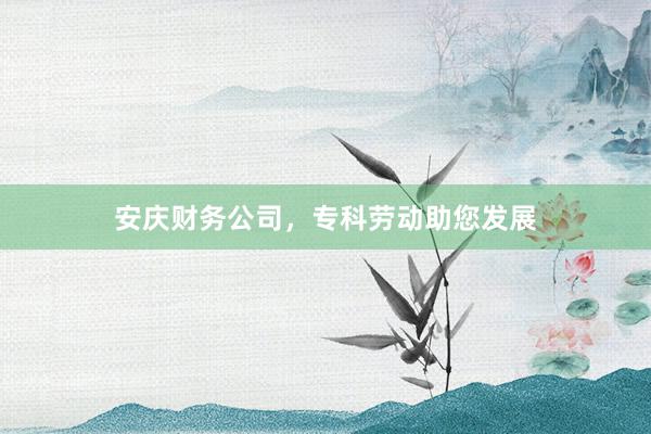 安庆财务公司，专科劳动助您发展