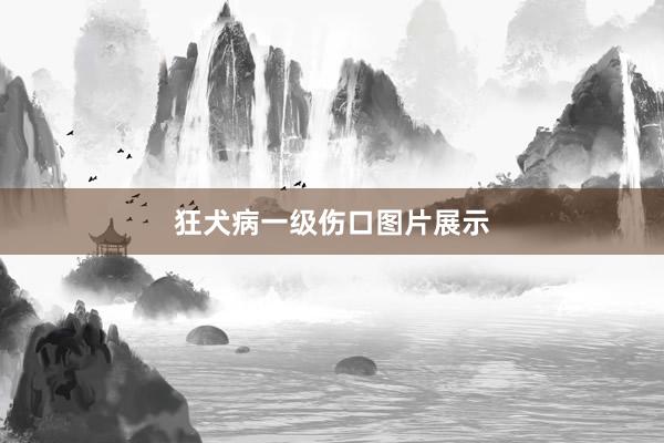 狂犬病一级伤口图片展示